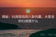 揭秘：91网背后的八卦内幕，大家说的91网是什么