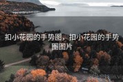 扣小花园的手势图，扣小花园的手势图图片