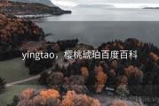 yingtao,樱桃琥珀百度百科 yingtao,樱桃琥珀百度百科