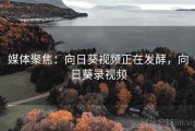媒体聚焦：向日葵视频正在发酵，向日葵录视频