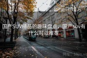 国产SUV精品的趣味盘点，国产suv有什么可以推荐