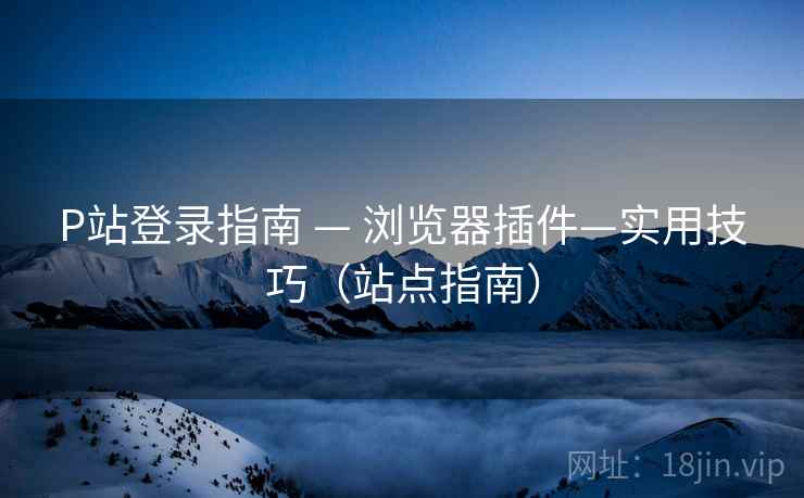 P站登录指南 — 浏览器插件—实用技巧（站点指南）