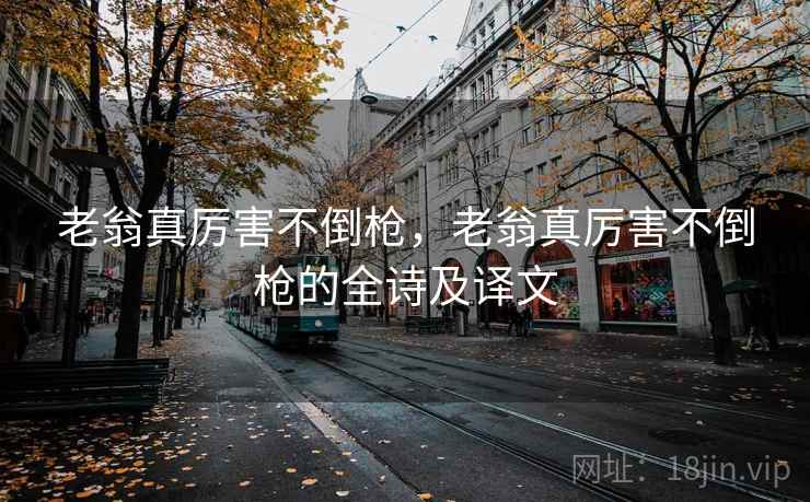 老翁真厉害不倒枪,老翁真厉害不倒枪的全诗及译文 老翁真厉害不倒枪,老翁真厉害不倒枪的全诗及译文